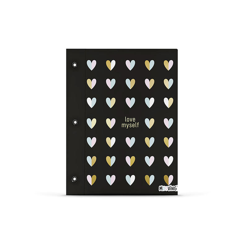 Carpeta Nro.3 con cordon Chic