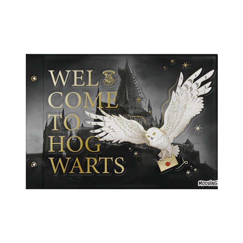 Carpeta Nro.5 de Dibujo Harry Potter