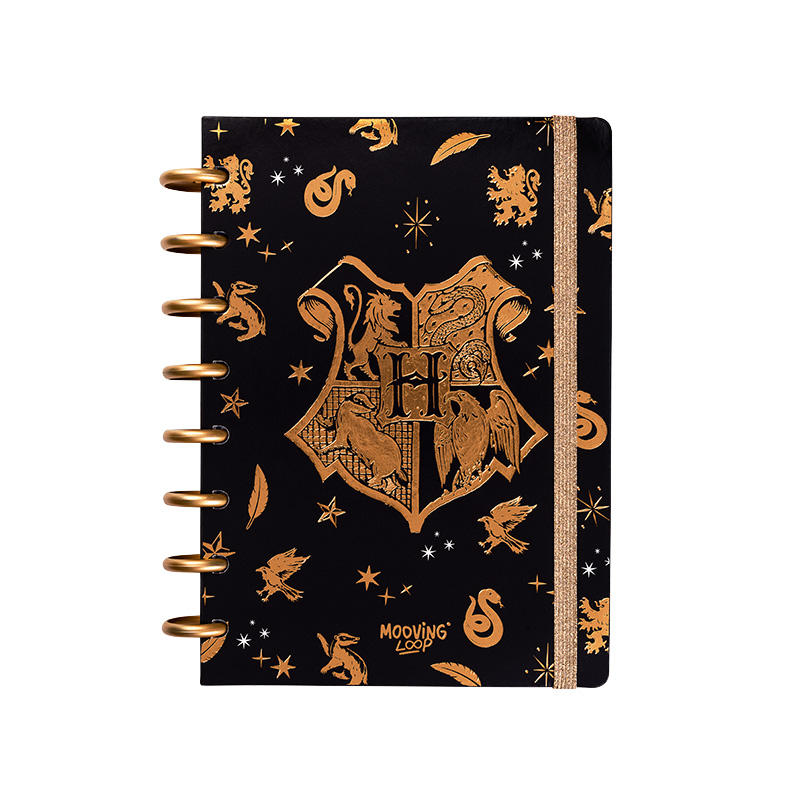 Mooving Loop - Cuaderno de Discos A5 Harry Potter