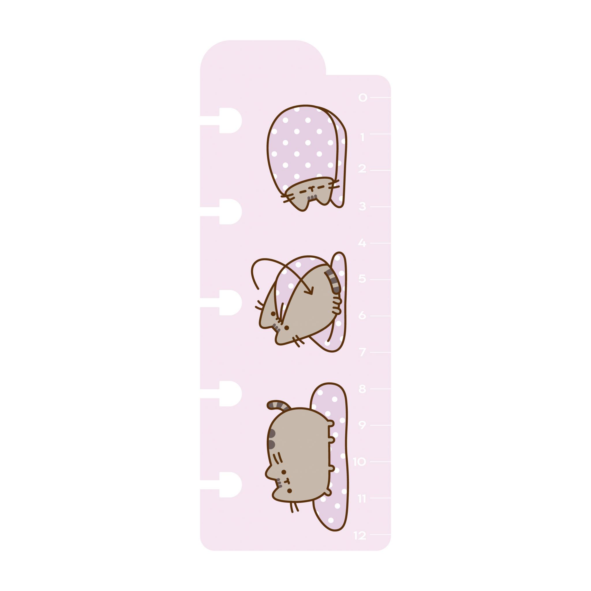 Mooving Loop - Refill Pusheen A5