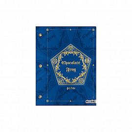Carpeta Nro.3 Harry Potter