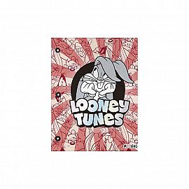 Carpeta Nro.3 Looney tunes