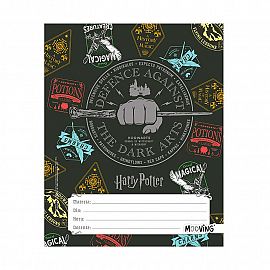 Separadores N3 Harry Potter