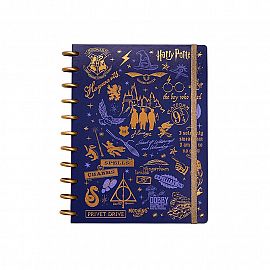 Mooving Loop - Cuaderno de Discos Carta Harry Potter